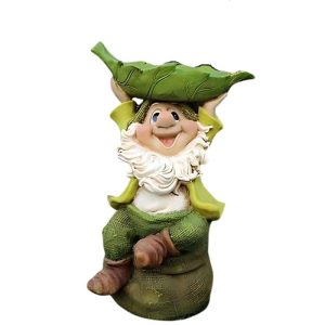 Nain De Jardin Traditionnel Variant 2