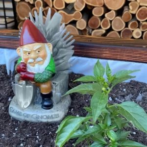 Nain de Jardin Game of Gnomes Maison Décoration